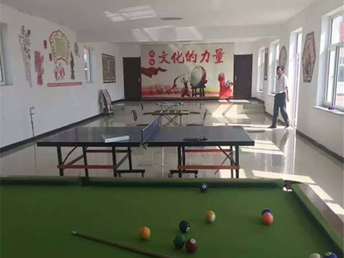 2015年蛟河市新站镇双顶子村文化活动室新建项目